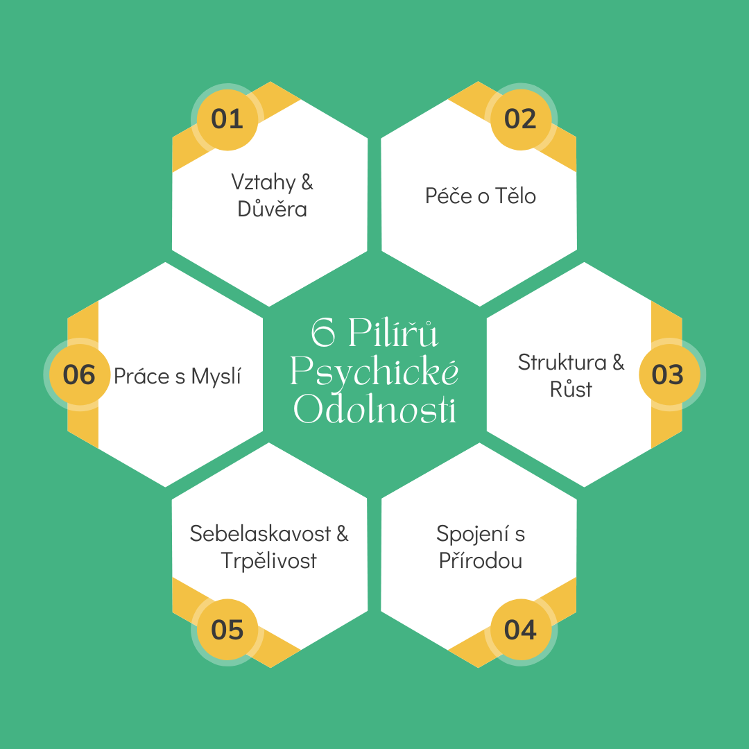Infografika 6 pilířů psychické odolnosti: Vztahy, Péče o tělo, Struktura, Spojení s přírodou, Sebelaskavost, Práce s myslí.